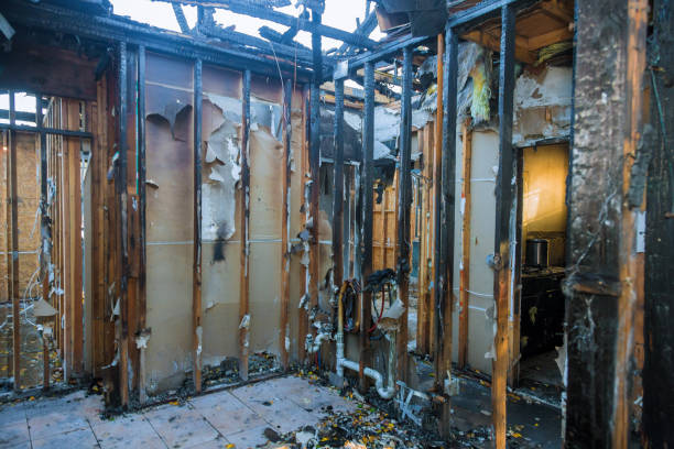 Professional Fire Damage Removal technician working in Prospect, PA