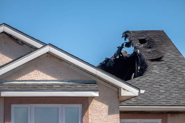 Top rated local Fire Damage Removal specialists in Prospect, PA
